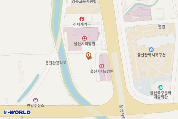 울산시티병원 위치 지도 — 울산광역시 북구 산업로 1007