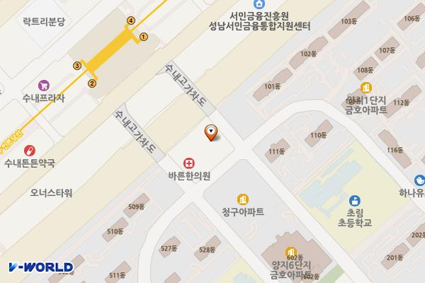 궁전프라자3 위치 지도 — 경기도 성남시 분당구 내정로173번길 49