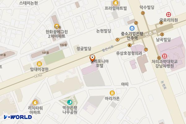 강남차여성병원 위치 지도 — 서울특별시 강남구 봉은사로 156