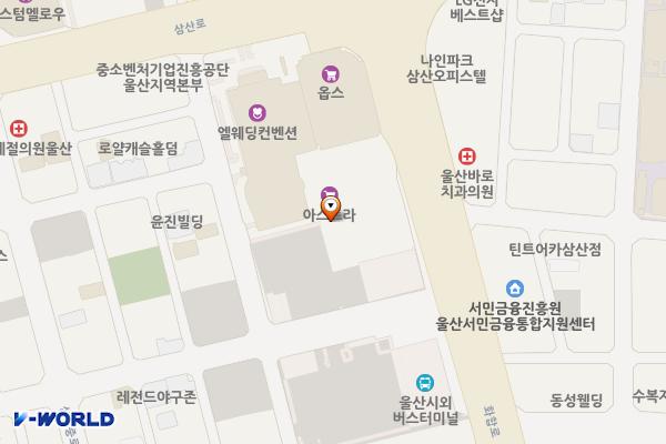 롯데백화점 영플라자 울산점 지상 2층 위치 지도 — 울산광역시 남구 삼산로 288
