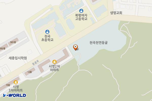 동해시 천곡황금박쥐동굴주차장 위치 지도 — 강원특별자치도 동해시 동굴로 50