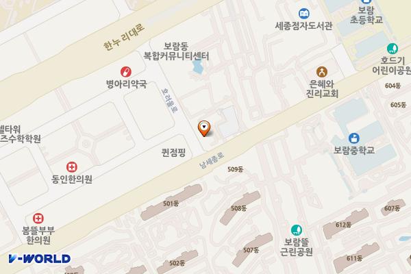 세종보람지구대 위치 지도 — 세종특별자치시 남세종로 440