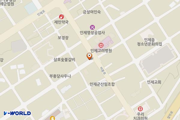 인제읍 제9 위치 지도 — 강원특별자치도 인제군 인제읍 상동리 289-2