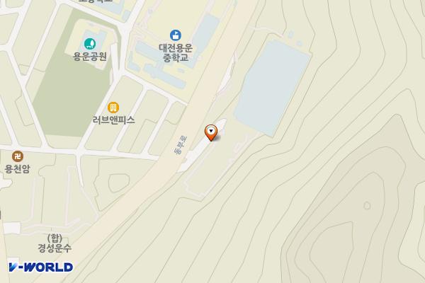 용운국제수영장 위치 지도 — 대전광역시 동구 동부로 138