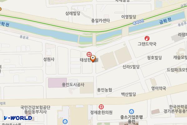 오성프라자 주변 위치 지도 — 경기도 용인시 처인구 김량장동 382
