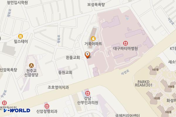 대구파티마병원 위치 지도 — 대구광역시 동구 아양로 99