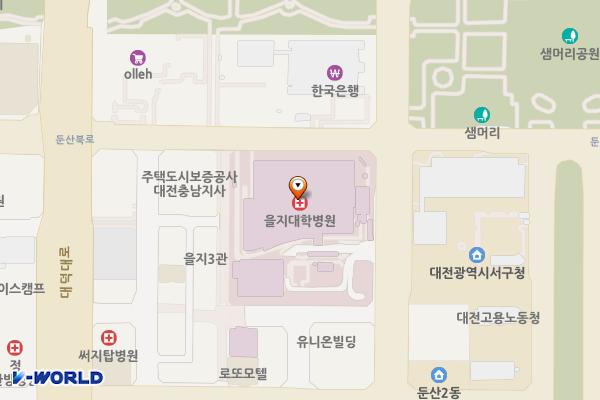 을지병원 주변 노상주차장 위치 지도 — 대전광역시 서구 둔산서로95