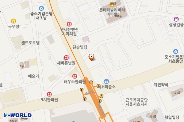 블루핀타워 위치 지도 — 서울특별시 서초구 서초중앙로 42