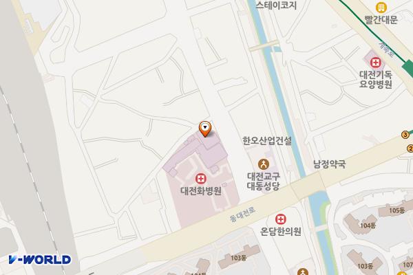 대전화병원 위치 지도 — 대전광역시 동구 동대전로 39