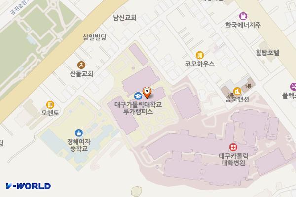 대구가톨릭병원 위치 지도 — 대구광역시 남구 두류공원로17길 33