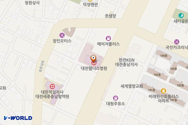 대전 웰니스병원 위치 지도 — 대전광역시 대덕구 동서대로1777번길 2