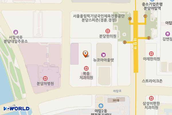 분당 금호프라자 위치 지도 — 경기도 성남시 분당구 야탑로75번길 9