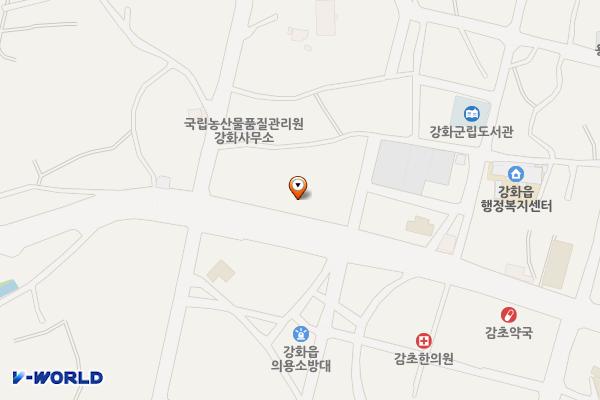 강화 벽원빌딩 위치 지도 — 인천광역시 강화군 강화읍 강화대로 456
