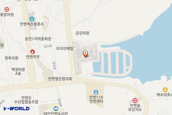 태안 안면시장 뒤 주차장 위치 지도 — 충청남도 태안군 안면읍 승언리 350