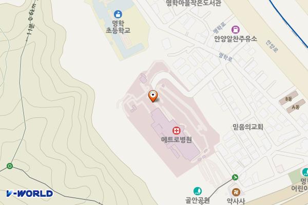 안양 메트로병원 위치 지도 — 경기도 안양시 만안구 명학로33번길 8