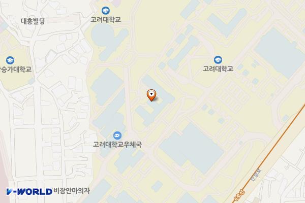 고려대학교 중앙광장 위치 지도 — 서울특별시 성북구 안암로 145