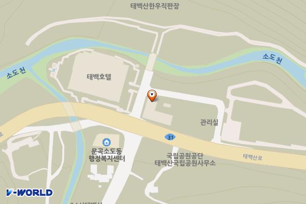 태백눈꽃야영장 위치 지도 — 강원특별자치도 태백시 태백산로 4773