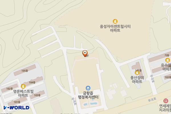음성 금왕 무극 공영주차장 위치 지도 — 충청북도 음성군 금왕읍 무극로 221