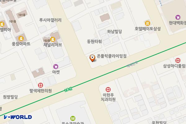 서울시 강남구 브이플렉스 위치 지도 — 서울특별시 강남구 테헤란로 501