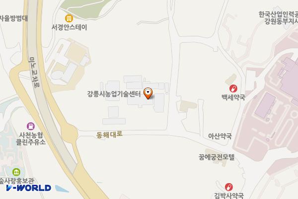 강릉시 농업기술센터 위치 지도 — 강원특별자치도 강릉시 사천면 동해대로 3738-17