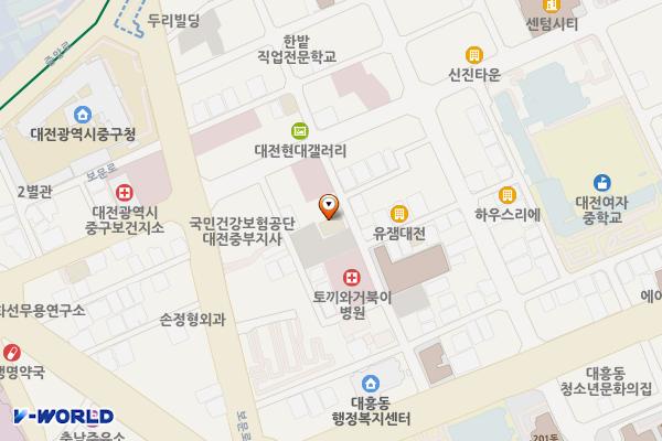 대전시 중구 자우리호텔 위치 지도 — 대전광역시 중구 대흥로111번길 35