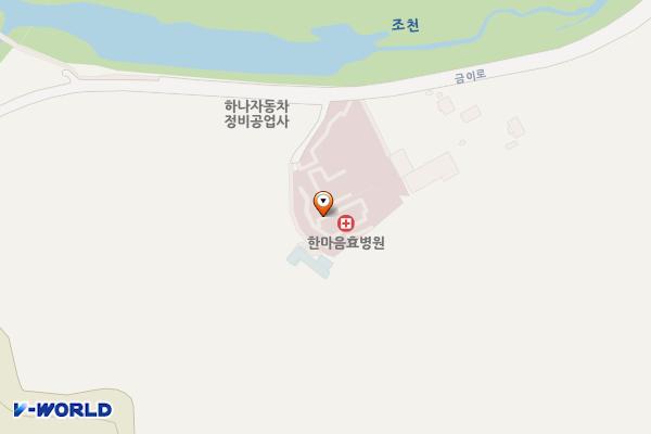 세종시 한마음효요양병원 위치 지도 — 세종특별자치시 조치원읍 금이로 53-11