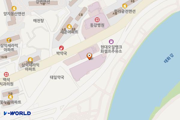울산시 중구 동강병원 위치 지도 — 울산광역시 중구 태화로 240