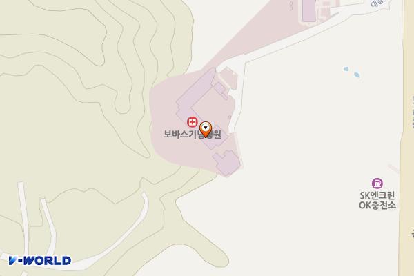 의료법인늘푸른의료재단-본관 위치 지도 — 경기도 성남시 분당구 대왕판교로 155-7