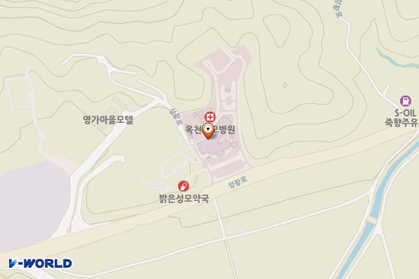 옥천성모병원 위치 지도 — 충청북도 옥천군 옥천읍 성왕로 1195