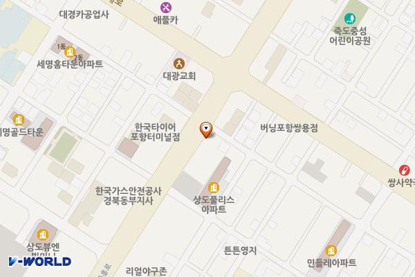 조은동물병원 위치 지도 — 경상북도 포항시 남구 중흥로 124