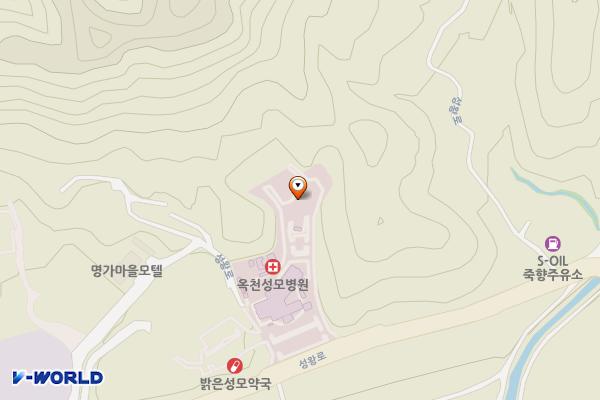 옥천성모병원B 위치 지도 — 충청북도 옥천군 옥천읍 성왕로 1195