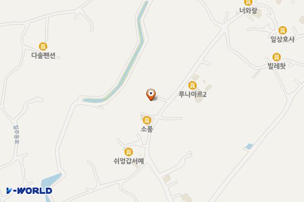 뉴스보이버거펍제주 위치 지도 — 제주특별자치도 제주시 구좌읍 월정1길 27