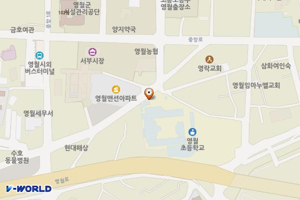 영월초교 후문주차장 위치 지도 — 강원특별자치도 영월군 영월읍 하송안길 100