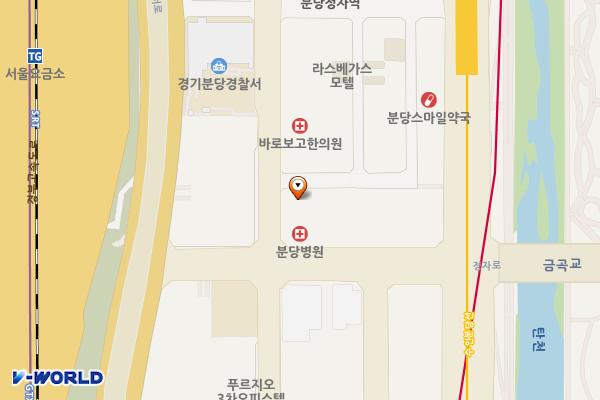 메테우스밸류에드피에프브이제1차 주식회사(뉴본타워) 위치 지도 — 경기도 성남시 분당구 정자일로156번길 6