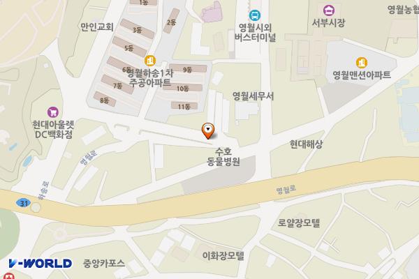 영월군청 앞 세무서간 도시계획도로 위치 지도 — 강원특별자치도 영월군 영월읍 하송안길 19-16