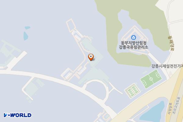 한국과학기술연구원(T) 위치 지도 — 강원특별자치도 강릉시 사임당로 679
