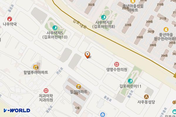 사우노상2구역 노상주차장 위치 지도 — 경기도 김포시 사우동 971