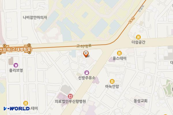 서울이엔엠선교회 위치 지도 — 서울특별시 성북구 고려대로 112