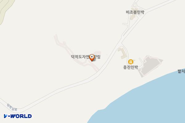 덕적도 자연휴양림 (완속충전기) 위치 지도 — 인천광역시 옹진군 덕적면 덕적남로 220
