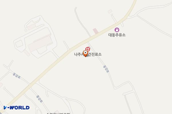 동강대전보건진료소 위치 지도 — 전남광주통합특별시 나주시 동강면 동강로 234