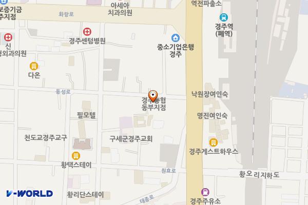 농협동부지점앞길 위치 지도 — 경상북도 경주시 동성로 144-1