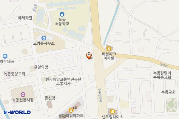 현대자동차블루핸즈 도양점 위치 지도 — 전남광주통합특별시 고흥군 도양읍 우주항공로 55