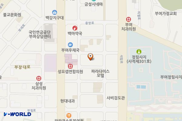 부여 공영주차타워 위치 지도 — 충청남도 부여군 부여읍 구아리 272