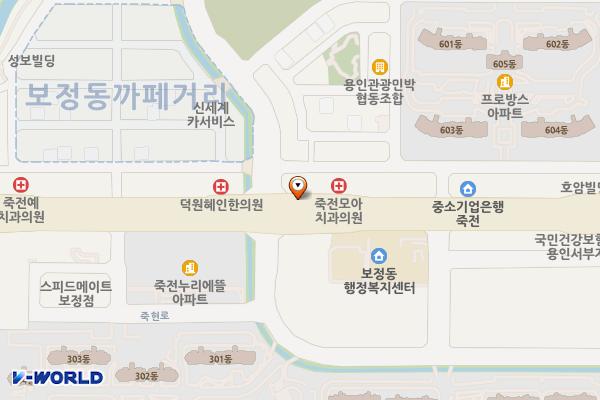죽전로 노상(복천로또 앞) – 가로등형 위치 지도 — 경기도 용인시 기흥구 보정동 1353