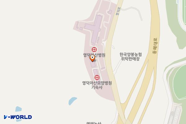 영덕아산병원 위치 지도 — 경상북도 영덕군 영해면 영덕로 1621