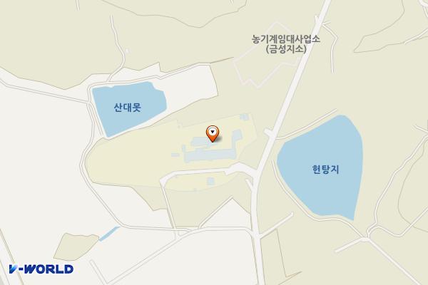경상북도교육청인공지능교육관 위치 지도 — 경상북도 의성군 금성면 탑운길 99