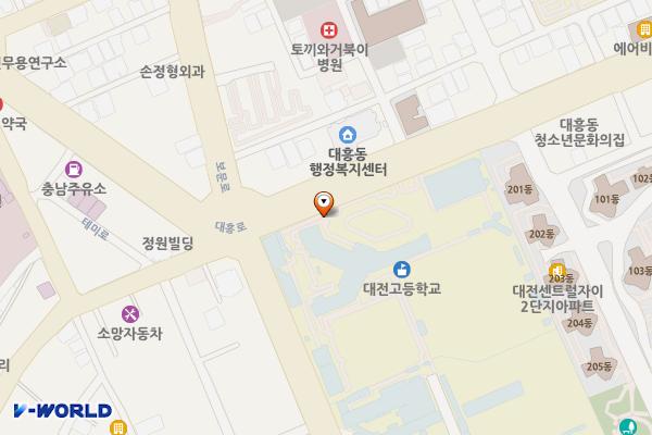 대전고등학교(완속) 위치 지도 — 대전광역시 중구 대흥로 110