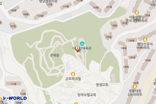 대현산체육관 위치 지도 — 서울특별시 성동구 독서당로63길 44