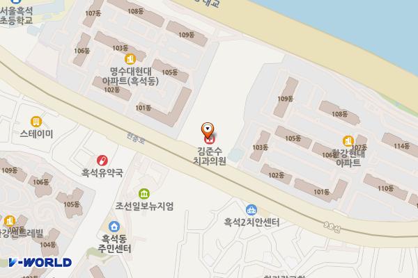 블루스톤스포츠센터 위치 지도 — 서울특별시 동작구 현충로 131(흑석동)