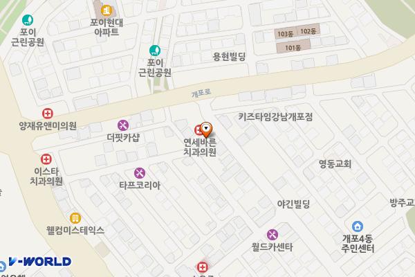 넥센타이어 개포점 위치 지도 — 서울특별시 개포로 22길 8